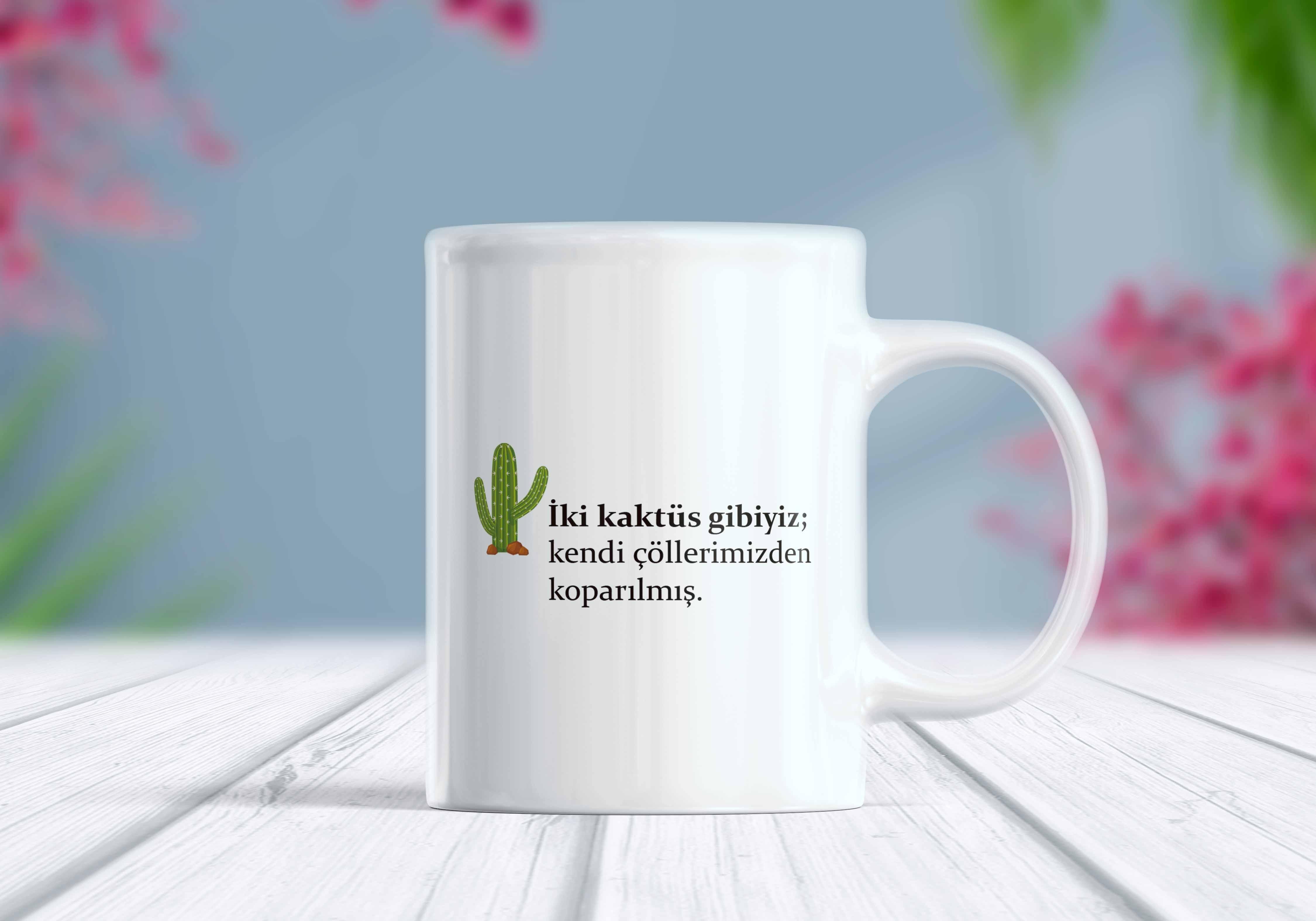 İki%20Kaktüs%20Gibiyiz%20Kupa%20Bardak